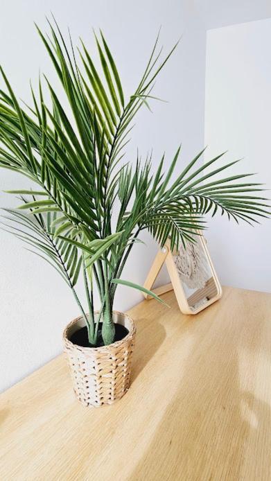 Boho Arenal Bol Con Parking Appartement Calpe Buitenkant foto